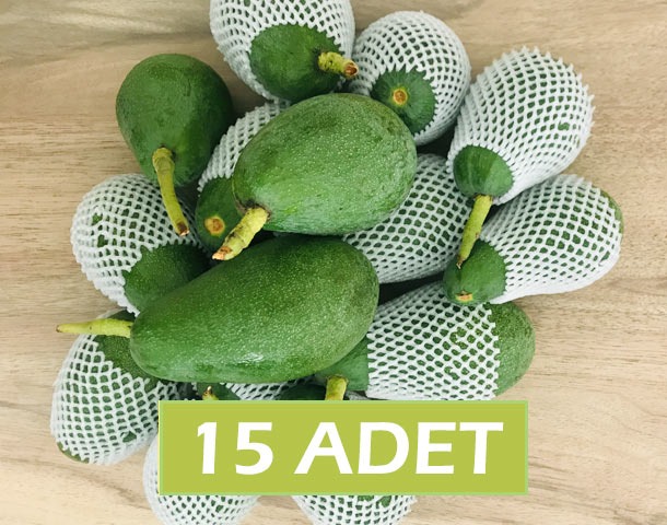 AVOKADO 15 ADET