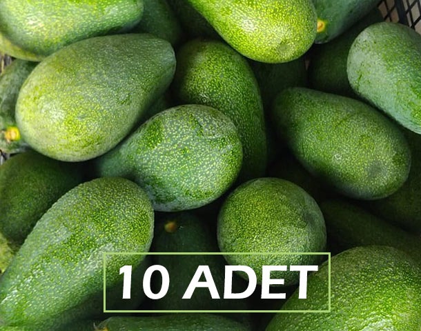 AVOKADO 10 ADET