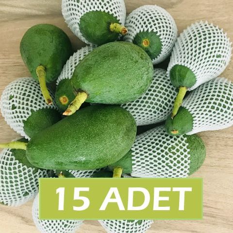 #AVOKADO 15 ADET Detay Image:1