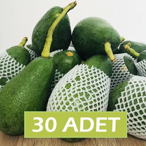 #A AVOKADO 30 ADET