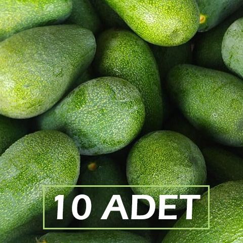 #AVOKADO 10 ADET Detay Image:1